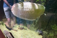 296389572_416739070263634_4258343303834183371_n