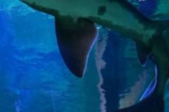 296389572_5414870695244753_1419708202038085321_n