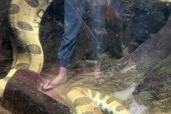 296406362_642676477072140_6056173580970249924_n