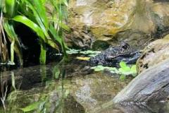 296410679_568953871641945_7776208297770596434_n