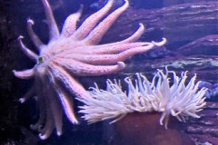 296436094_1756221868044140_2344369026953487994_n