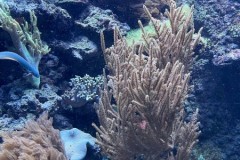 296460178_781250999729673_4652859971101782819_n