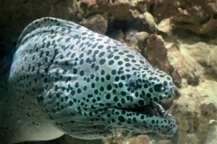 296460908_840475126923969_816603638665841024_n