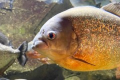 296470783_647677136217783_7427615343767446464_n