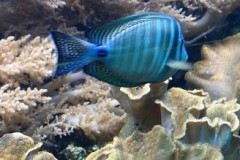 296470786_3299651830361681_7927420529384715970_n