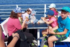 296539688_588162636196443_1572159351896845331_n