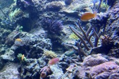 296546725_1240028830066465_2837704386310109885_n