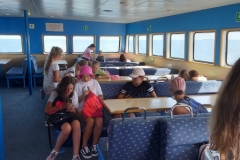 296563155_726829055058359_7541265647218417359_n