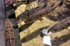 296585096_463584769108818_1839445791495300331_n