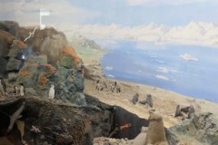 296593871_616969446405733_6756889076788565457_n