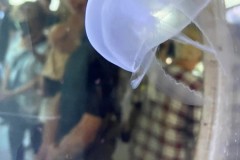 296599785_749931302921148_8016932036053396463_n