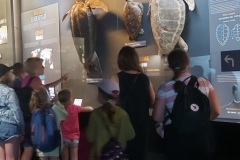 296778887_1113506082901868_6102476543225341131_n