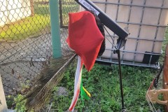 2019-07-28-18.44.40-1