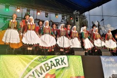 2019-07-28-19.16.33-1