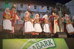 2019-07-28-19.20.01-1