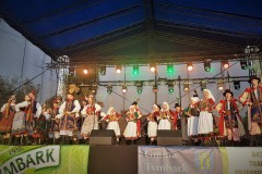 2019-07-28-19.28.47-1