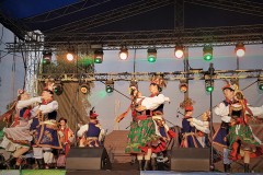 2019-07-28-19.31.46-1