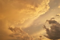 2019-07-28-20.09.53-1