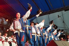 2019-07-28-20.15.23-1