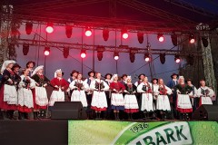 2019-07-28-20.17.03-1