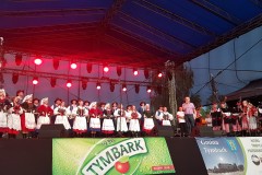 2019-07-28-20.19.19-1