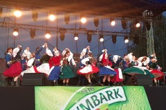 2019-07-28-20.20.57-1