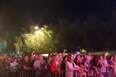 2019-07-28-21.35.48-1