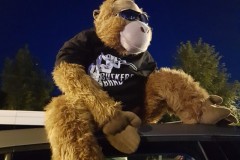 2019-07-27-21.30.49-1