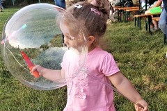 2019-07-27-19.36.36-1