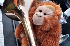 2019-07-27-20.20.42-1