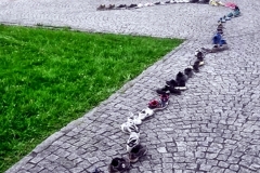 37691992_1941626419231418_3530096086586753024_n