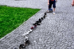 37716450_1941626692564724_4336788947339313152_n