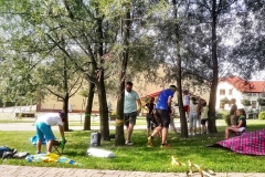 37771499_1941636269230433_7934171073916960768_n