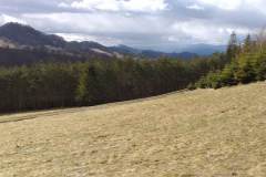 339224823_770446601008348_5897533731065599054_n