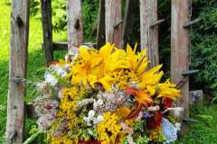 236330347_315441213698005_6529558246997043511_n