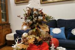 79034058_2459550474258130_2097245789200842752_n