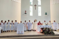 Dansolihon Fiesta 1aa