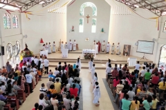 dansolihon fiesta 1az