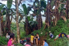 284107278_434463854682754_2234681204222055684_n