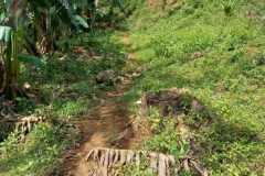 313989163_1249143062533498_5385956738105759322_n