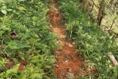 314012985_1178549356075714_6900313785233475383_n