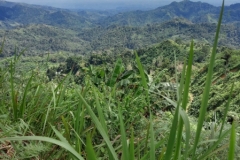 314022514_633119888513668_4534135174961155187_n