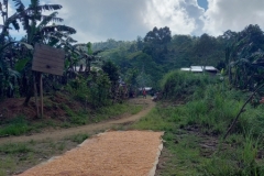 314477095_1153322232243426_5715691433584057020_n