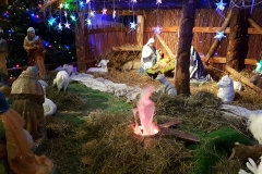 WhatsApp Image 2018-12-30 at 13.55.44