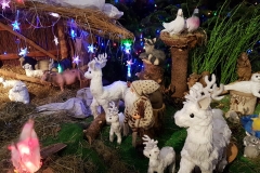 WhatsApp Image 2018-12-30 at 13.57.56