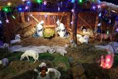 WhatsApp Image 2018-12-30 at 13.58.09