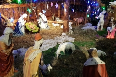 WhatsApp Image 2018-12-30 at 13.58.10