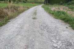 8e2d31f6-10d2-47d4-af79-5fcfec1f6030