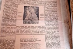 340530147_965450534471631_7754557841000248145_n