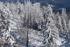 137217238_791569911573140_2460260214819267195_n